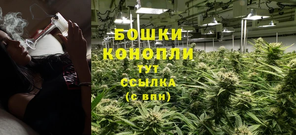 молекула духа Аркадак