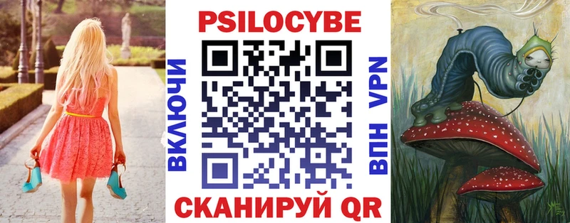 Псилоцибиновые грибы Psilocybe  блэк спрут как зайти  Ивантеевка  купить наркоту 